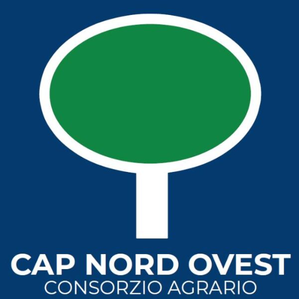 nuovo sponsor camporosso