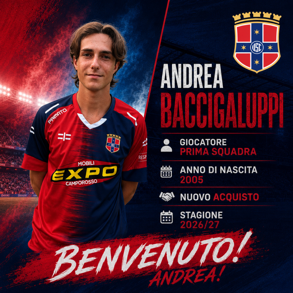andrea baccigaluppi
